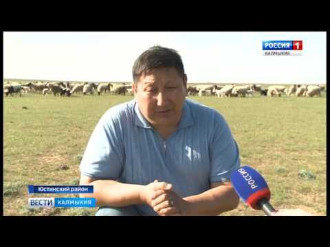 Вести «Калмыкия»: вечерний выпуск 19.04.2017