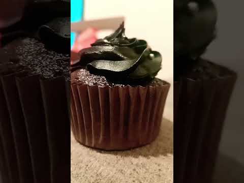 chocolate Cupcake 🍫🧁