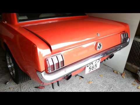 Holley Red Fuel Pump, Noise