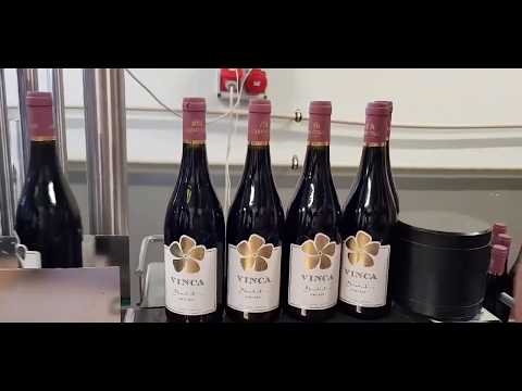 Vinca Benedict Pinot Noir labeling