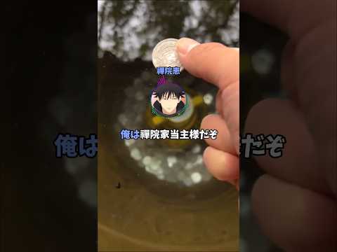 真依「禪院家の男ってみんなそうですよね！」恵「当主の命令だぞ」【呪術廻戦】