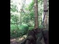Morning in a Hammock #Hammock #Bushcraft #Adventure #Dawn chorus #Birdsong #UK