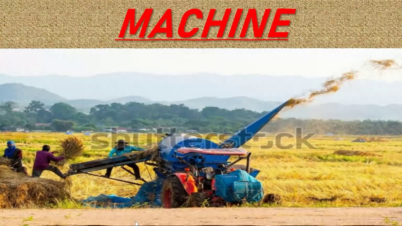 PowerPoint Presentation | PowerPoint Presentation on how wheat is formed|