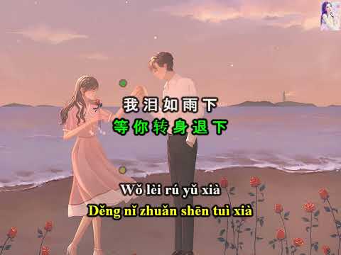 [Vietsub+Pinyin] Kiếp Sau Vẫn Muốn Cùng Anh Lập Gia Đình - Lưu Tam Cân - 下辈子还要和你成个家 - 刘三斤