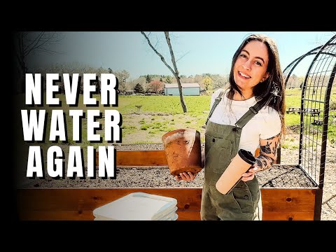Self Watering Pots | Olla Garden Watering System + ThirstyEarth Review 💧