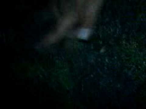 party vom 22.8.09 teil 1