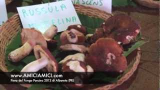 preview picture of video 'Fiera del Fungo Porcino 2012 ad Albareto (Parma)'