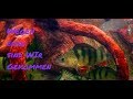 channel