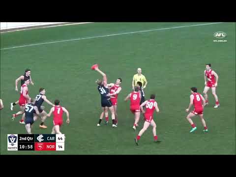 Harry Lemmey - VFL Round 15 Highlights