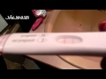 Kelsey Chow Pregnancy Manip
