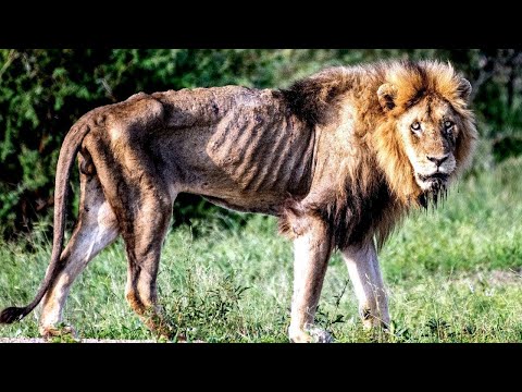 The Realities of Nature