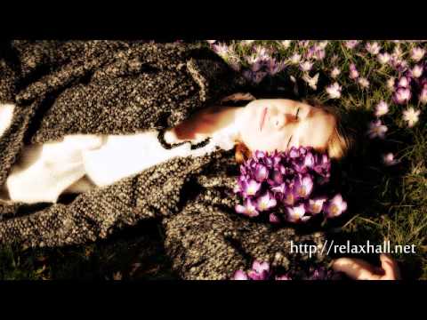 download lagu mp3 mp4 Music For Sleep During Pregnancy, download mp3 Music For Sleep During Pregnancy free download mp3, download mp3 Music For Sleep During Pregnancy