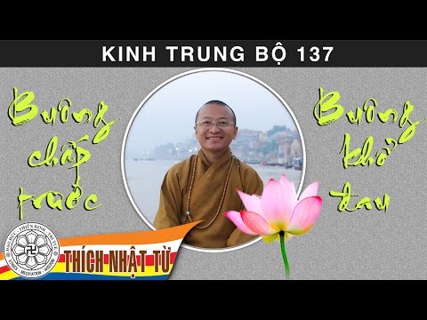 Kinh Trung Bộ 137 (Kinh Phân Biệt Sáu Xứ) - Buông chấp trước, buông khổ đau (26/07/2009)