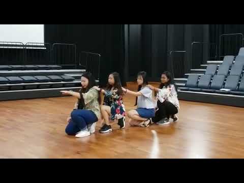 Mamamoo ( 마마무 ) “Egotistic” Dance Cover