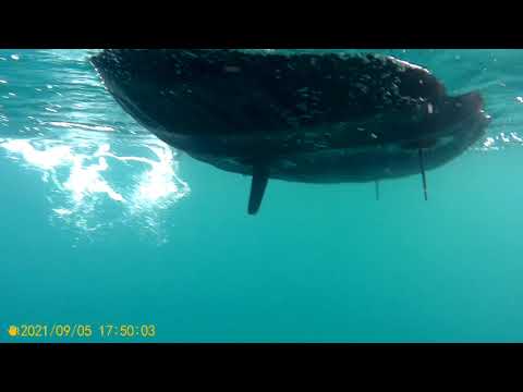 2021 0905 174926 010