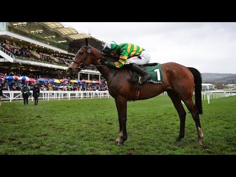 A Dream outcome to Champion Bumper is one to remember - Racing TV