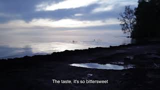 Jane XØ - Let Me Down Easy (Lyrics)