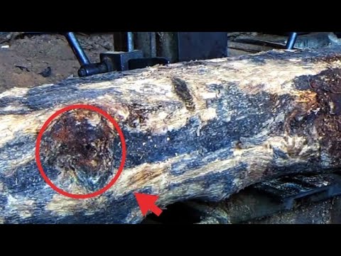 terjadi cekcok di sawmil.terus terang saya gemetar & takut melihat tangan dekat dengan pisau gergaji