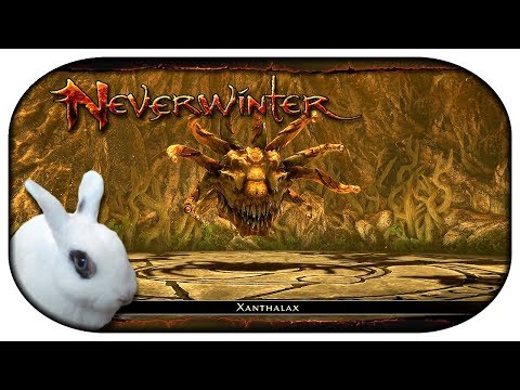 NEVERWINTER: Paladin-LP 🐇 67 - Die Gruft der Neun