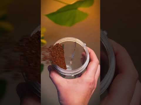 Coffee Commercial Spec Ad