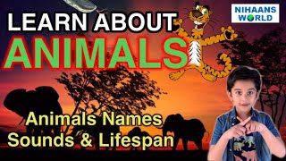 Animals for Kids | Learn  Animals Names, Sounds & Lifespan | Animals for Kids | Children & Toddlers