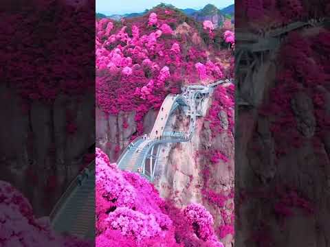 The Most Beautiful Places in China 🇨🇳✨🤩 #china #travel #explore #nature