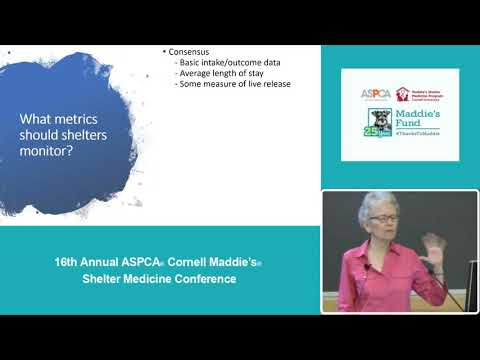 Making Better Use of Shelter Data - conference recording