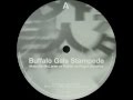 Malcolm McLaren vs. Rakim vs. Roger Sanchez ‎- Buffalo Gals Stampede