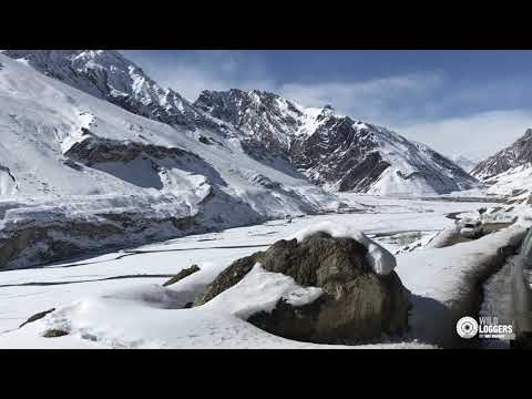 Winter Drive to Spiti February 2020 - Trailer
