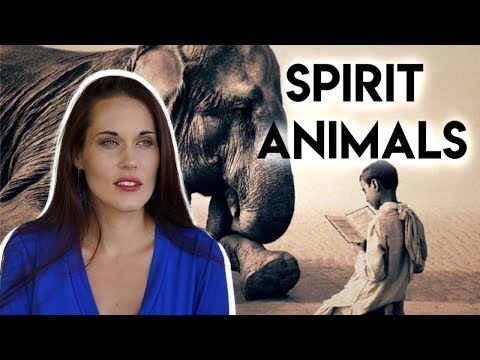 Spirit Animals (What Is Your Spirit Animal and How To Find Your Spirit Animal)