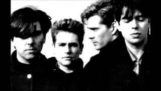 Echo & The Bunnymen... The Puppet