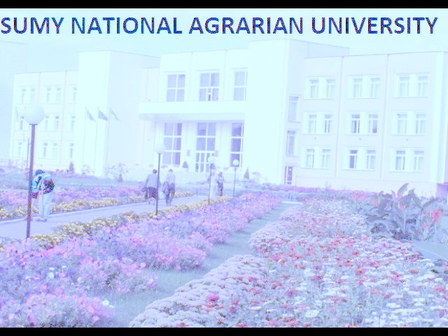 Kyrgyz National Agrarian University видео №1