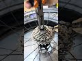 How to replace cassette without tools  #cyclingtips #bicycle #cycling