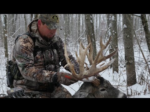 New Backwoods Life Coming In 2017!