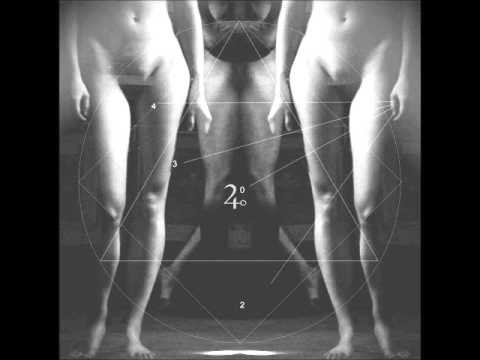 Der Noir - The Forms (Numeri e Figure 2013)