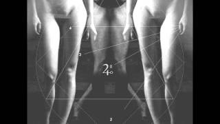 Der Noir - The Forms (Numeri e Figure 2013)