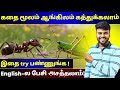 Learn English Through Story Spoken English In Tamil English Speaking Practice Stories For Kids