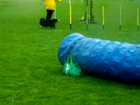 Asti - Bydgoszcz - 16.05.2009 (JumpingOpen)