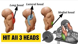 9 Best Triceps Workout for Every Head (Hit all 3 h