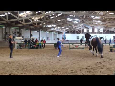 Voltigieren Wildenburg - Einzel (Anna-Lena, Charlotte, Jana) - Bad Ems 22.09.2013