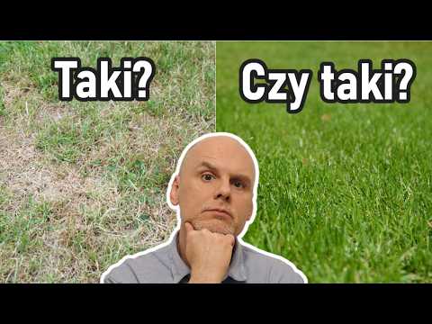 Zrób to wiosną! Trawnik szybko się zagęści