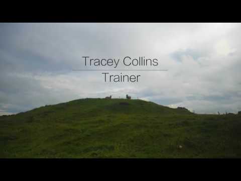 The Curragh Thoroughbred Trail - Tracey Collins