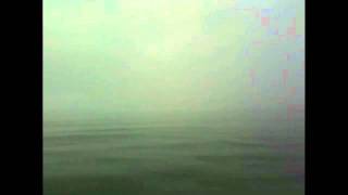 I muscoli del capitano   Francesco De Gregori by GM