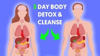 How to do a 3-day complete body detox and flush