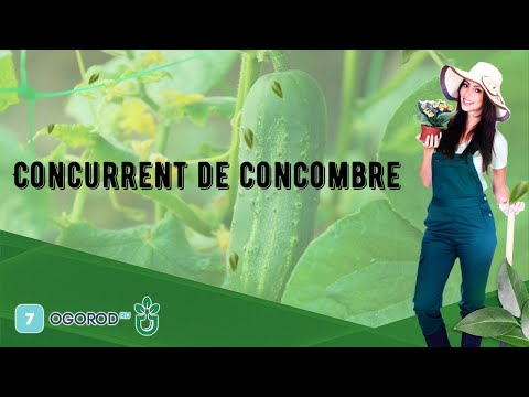 , title : 'Concurrent de concombre'