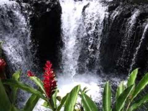 Aumaia Lou Alofa by Taufi Faaosofia