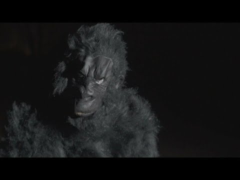JEFFERSON FT CHARLIE CHARLZ -  GORILLA (OFFICIAL MUSIC VIDEO)