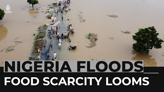 Food scarcity looms in Nigeria as severe floods destroy crops