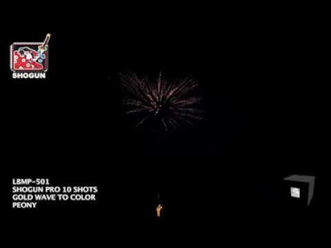 2 Gold Wave Color Peony