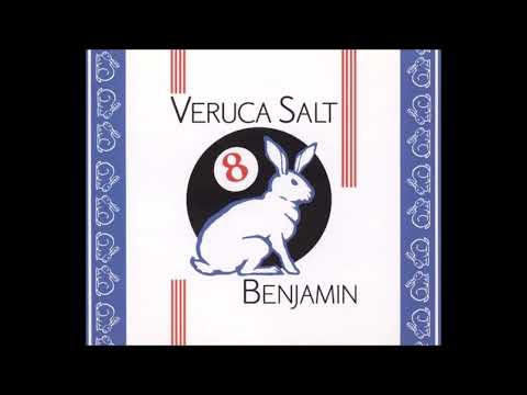 Never Met Her - Veruca Salt